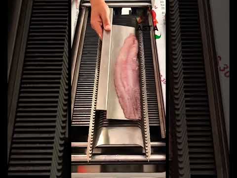 Fish fillet slicer machine, 2 hp