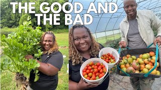 The GOOD and the BAD in the Garden | Major Squash Trouble