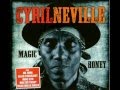 You Can Run But You Can't Hide - Cyril Neville ...