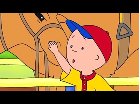 Caillou en Français | Caillou et le Chameau | 522 | dessin animé | NOUVEL ÉPISODE HD