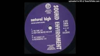 Sound Environment - Natural High (Ru's Remix)
