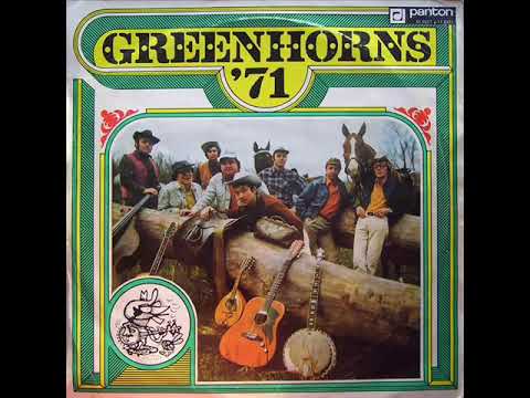 Greenhorns '71-Blues Folsomske Věznice