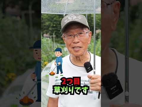 家庭菜園を大雨から守る方法