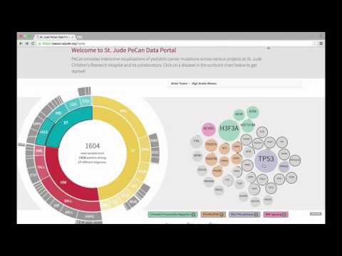 Exploring childhood cancer genomics with ProteinPaint
