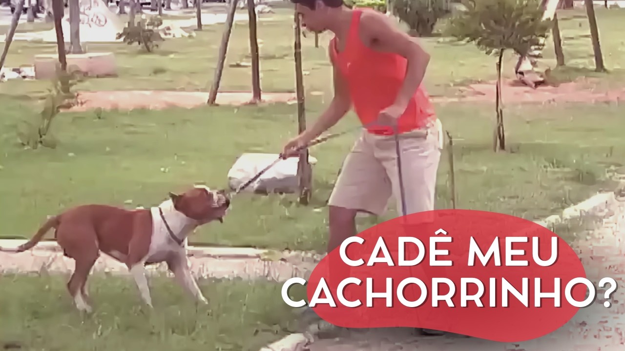 POR ISSO NÃO DEIXO MEU CACHORRO COM NINGUÉM | CÂMERAS ESCONDIDAS
