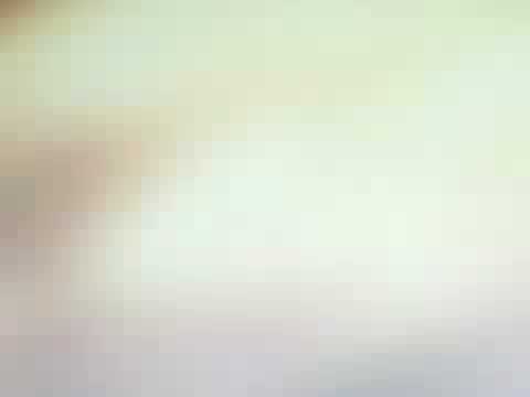 Diner Dash Hometown Hero Gourmet Level 1 and 2