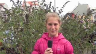 preview picture of video 'Sint Margaretaschool - Beelden in de Stad - Knokke-Heist - Peterschap 2013-2014'