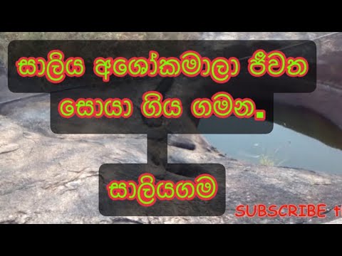 Path Pointer Galwaduwa - සාලිය අශෝකමාලා ඇත්ත, Saliya Ashokamala 1 Documentary | Episode #..
