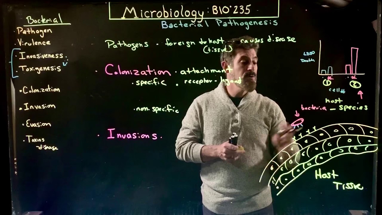 Bacterial Pathogenesis 1