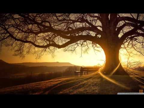 Nistor Ft. Nef-U - Final de poveste