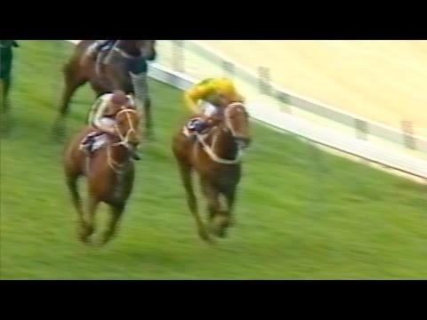 Bonecrusher - W.S. Cox Plate Group 1