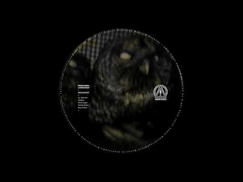 Irrational Language - The Raven