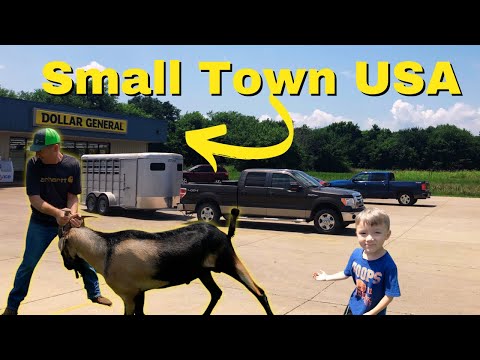 Selling Our Goat At Dollar General
