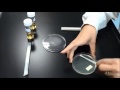 Antibiotic Sensitivity Testing