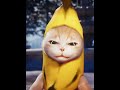 Banana Cat Is HappyHappyHappy