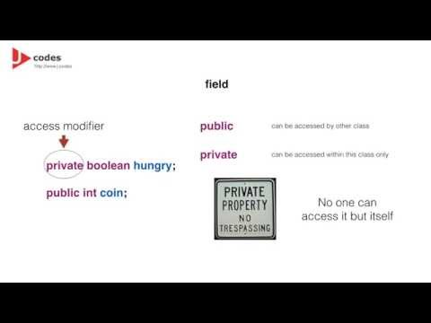 C5 Java Concepts Tutorial Fields In Class