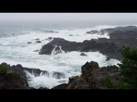 Sonido de Lluvia y Olas del Mar para Dormir y Relajarse - Meditación