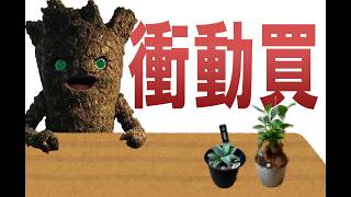 【雑談】こんなはずじゃなかったんです・・・。