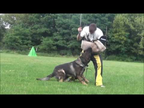 Protection training weekend in Germany 7/2017