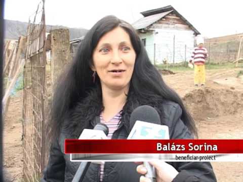 ŞI-AU GĂSIT SALVAREA ÎN AGRICULTURĂ