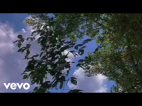 Iamlamarmusic - IHU (Official Music Video)