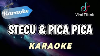 Download lagu [Karaoke] STECU x PICA PICA (Lagu hits tiktok) mp3