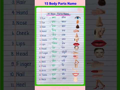 15 Body Parts Name in Hindi and English | Human Body Parts Name | शरीर के अंगों के नाम #shorts