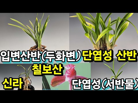 유튜브 썸네일