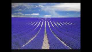 Nero - Welcome reality [faster pace]