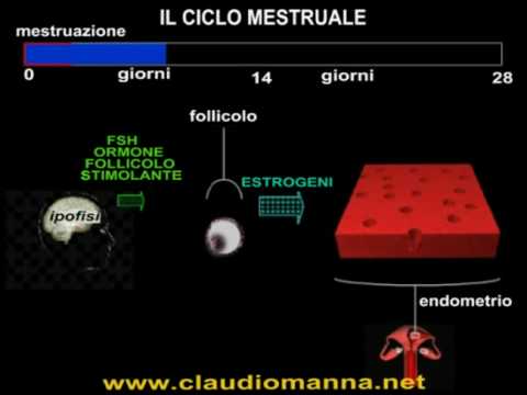 Claudio Manna-17