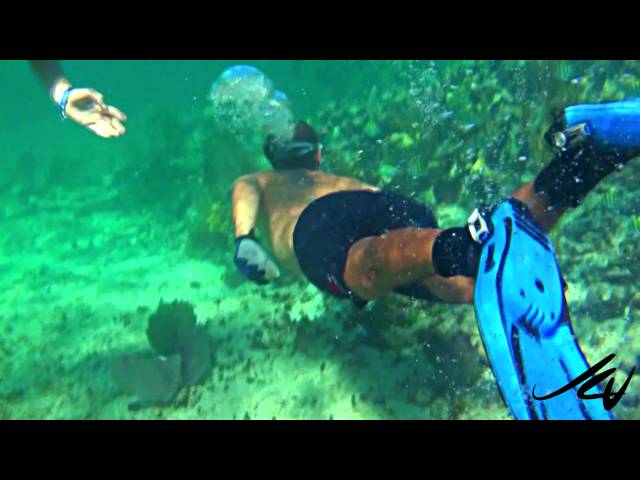 Riviera Maya Reef Snorkeling