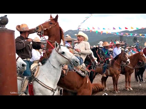 Horses CRACKED - Devils OUT