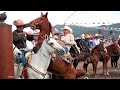 Caballos RAJADOS - Diablos FUERA