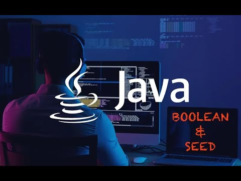 Java Boolean Seed Exercise