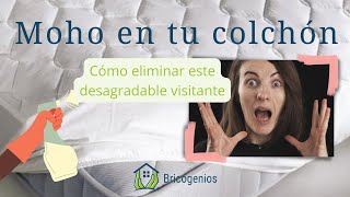Cómo quitar el moho de tu colchón