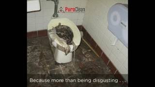Sewage Backup Cleanup - Tips For The Do-It-Yourself'er