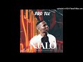 Pro-Tee - Njalo (feat. Manqonqo & Airic)