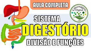Sistema Digestório - Divisões anatômicas e órgãos digestivos - Anatomia Humana