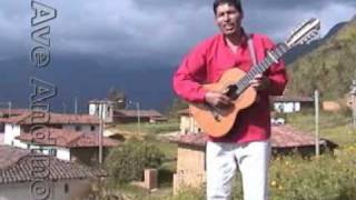 AVE ANDINO - DELIA DELIA .mpg