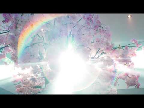 Beleef de sfeer van de ruimtes bij Zuylen.