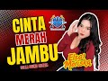 DJ CINTA MERAH JAMBU II ELSA MERISKA II ACARA PERNIKAHAN DARMA MEYKA II DESA TUMBANG MANGGU