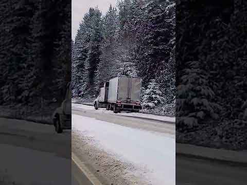 поймал гуся на фуре?