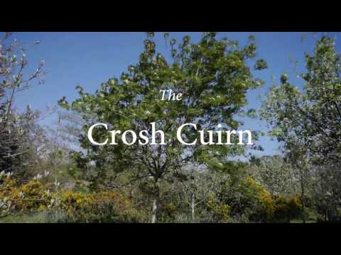 download lagu mp3 mp4 May Eve Traditions, download lagu May Eve Traditions gratis, unduh video klip May Eve Traditions