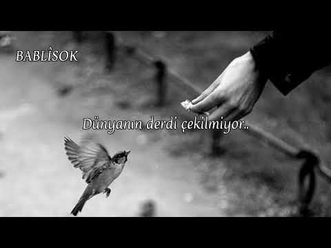 Sertaç Dilda - Kal Bume (Türkçe çeviri)