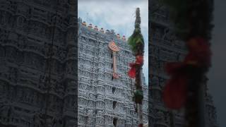 Download lagu 🦚 THIRUCHENDUR MURUGAN WHATSAPP STATUS FULL SCREEN IN TAMIL 🪷#status #murugan #trending #shorts mp3 Download lagu 🦚 THIRUCHENDUR MURUGAN WHATSAPP STATUS FULL SCREEN IN TAMIL 🪷#status #murugan #trending #shorts mp3