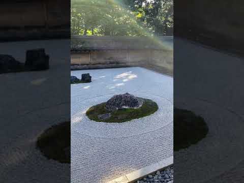 ヤナギを編んで作った植物の構造 – リビングガーデンの装飾アイデア 20 個  庭園