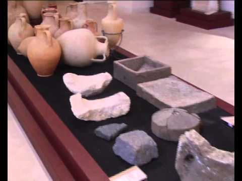 ONDA TG 3.01.2014 - VENERABILIA: BILANCIO FINALE