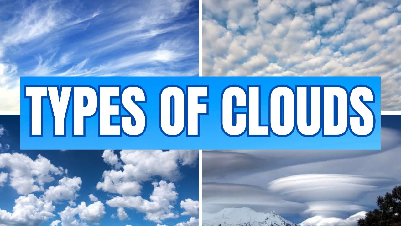 What is the difference between cirrus and cumulus clouds quizlet? Tipseri