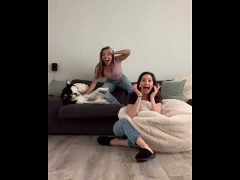 HB at Home | McKhayla Pettingill & Caroline Perry