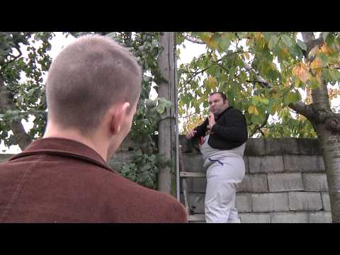 RYMA ELEKTRIKE - Humor nga emisioni 3T